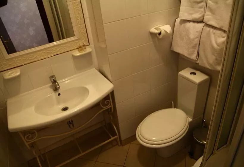 Fotos del hotel Garden Palace:  22