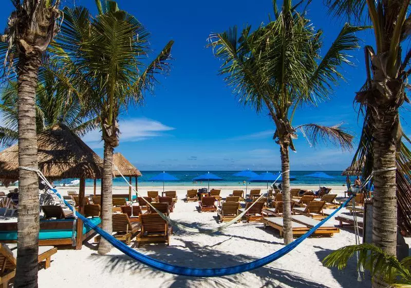 Fotos del hotel Ojo De Agua:  5