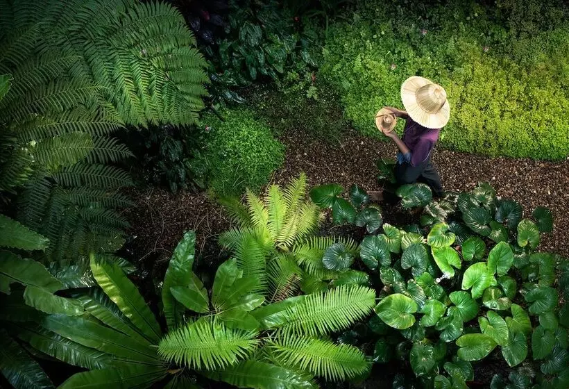 Fotos del hotel Ratilanna Riverside Spa Resort:  14