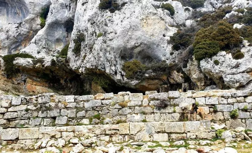 Fotos del hotel Sierra Hidalga:  12