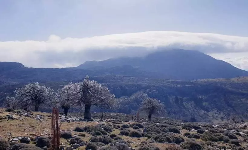 Fotos del hotel Sierra Hidalga:  7