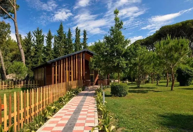 Fotos del hotel Tropikal Resort:  30