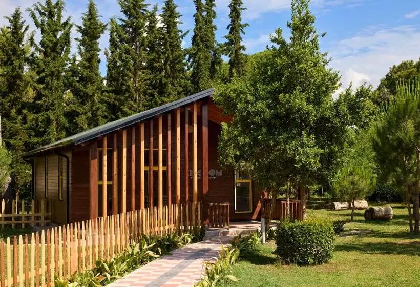 Fotos del hotel Tropikal Resort:  8