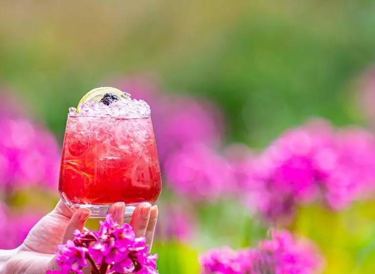 Fotos del hotel Mansion House:  23