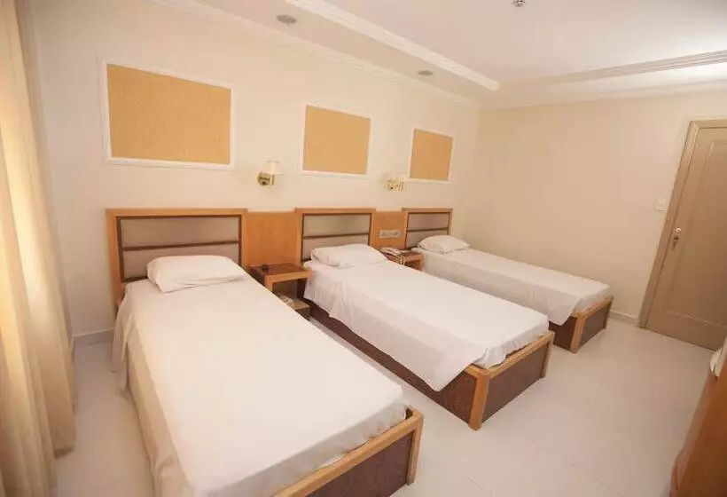 Fotos del hotel Windsor:  7