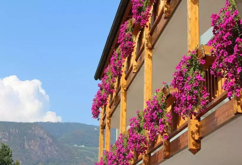 Fotos del hotel Garden Premstaller:  10