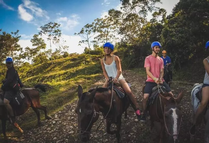 Fotos del hotel Arenal Country Inn:  12