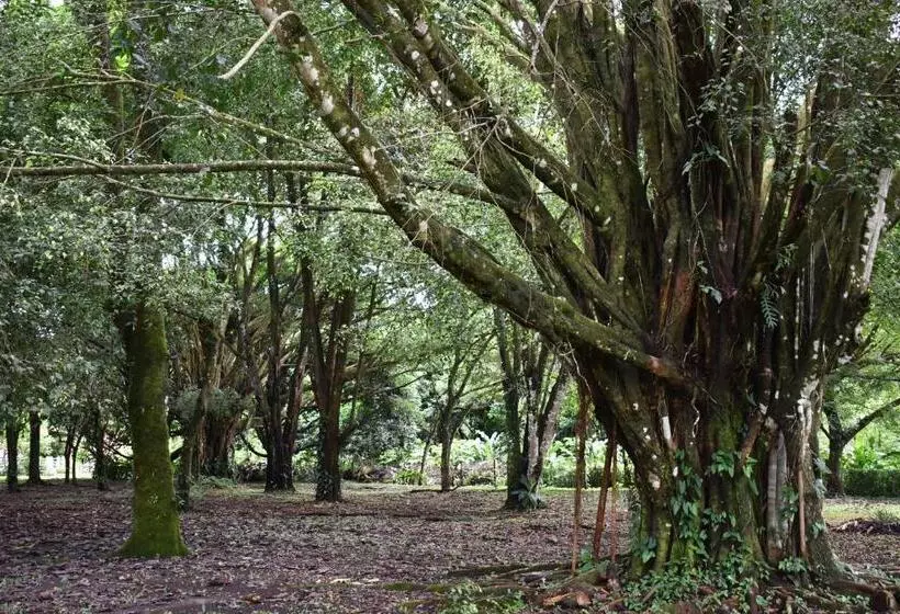 Fotos del hotel Arenal Country Inn:  3