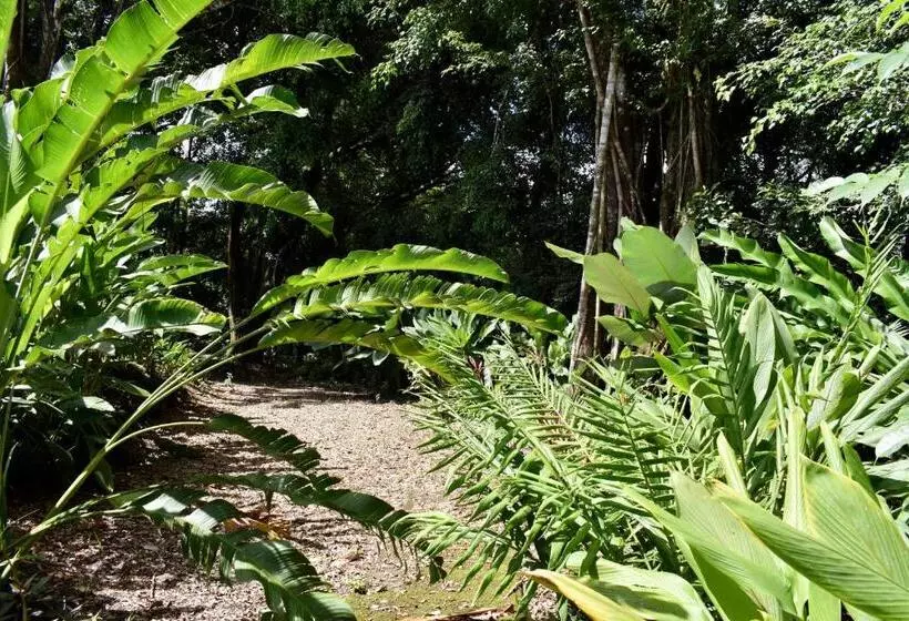 Fotos del hotel Arenal Country Inn:  4