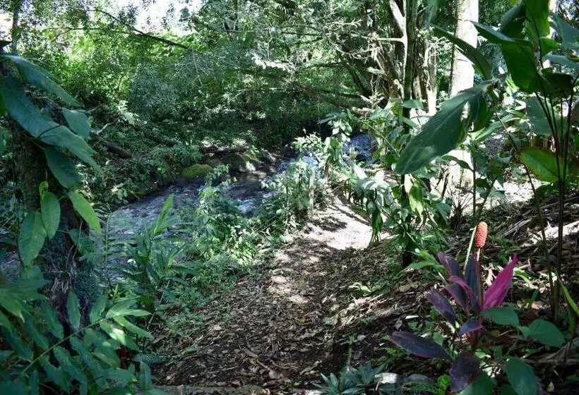 Fotos del hotel Arenal Country Inn:  10