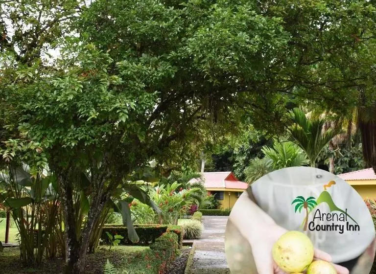 Fotos del hotel Arenal Country Inn:  2