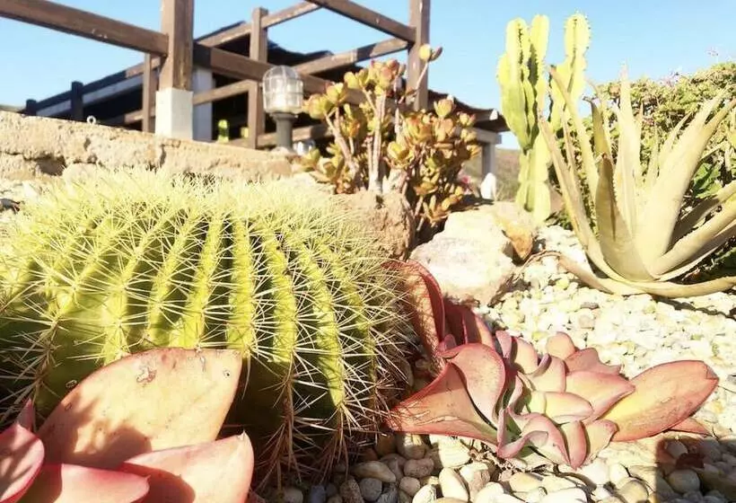 Fotos del hotel Cortijo El Paraíso:  6