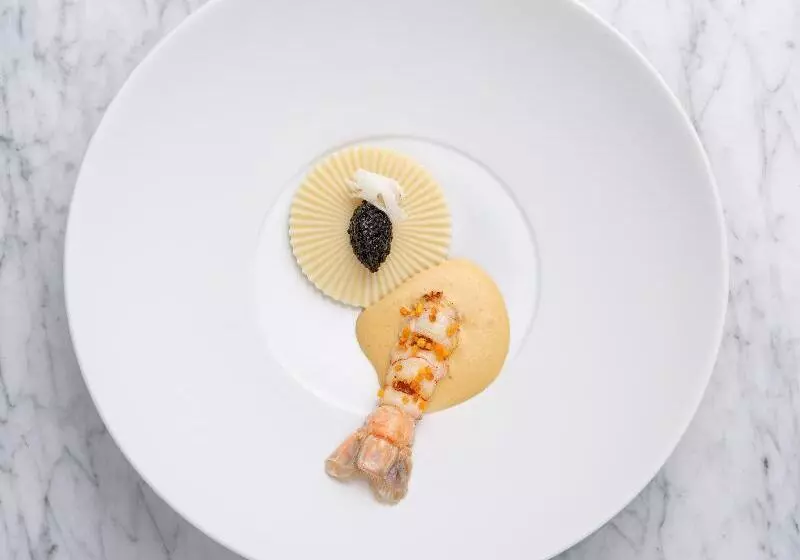 Fotos del hotel The Ring Vienna S Casual Luxury:  21