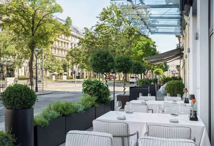 Fotos del hotel The Ring Vienna S Casual Luxury:  9