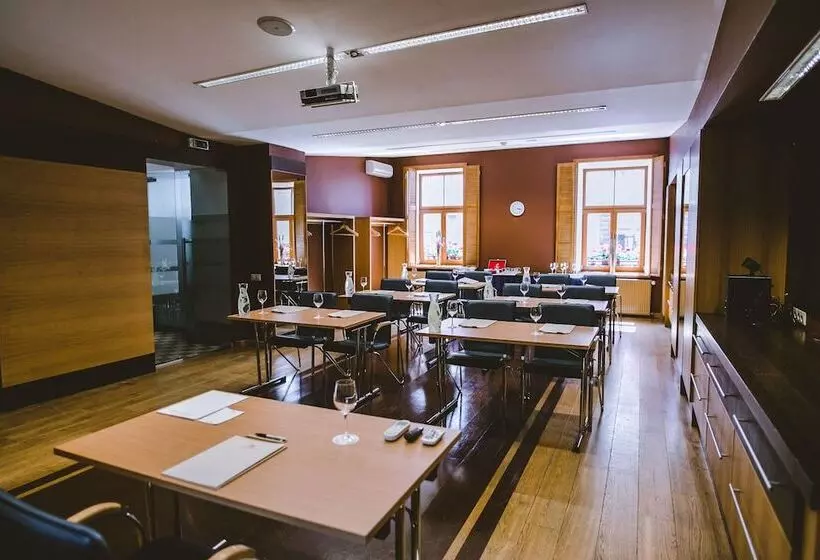 Fotos del hotel Hanza:  7