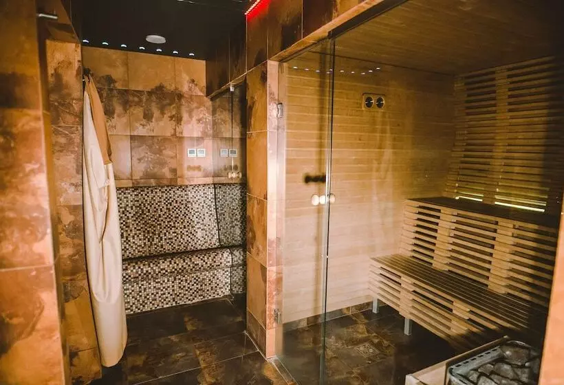 Fotos del hotel Hanza:  4