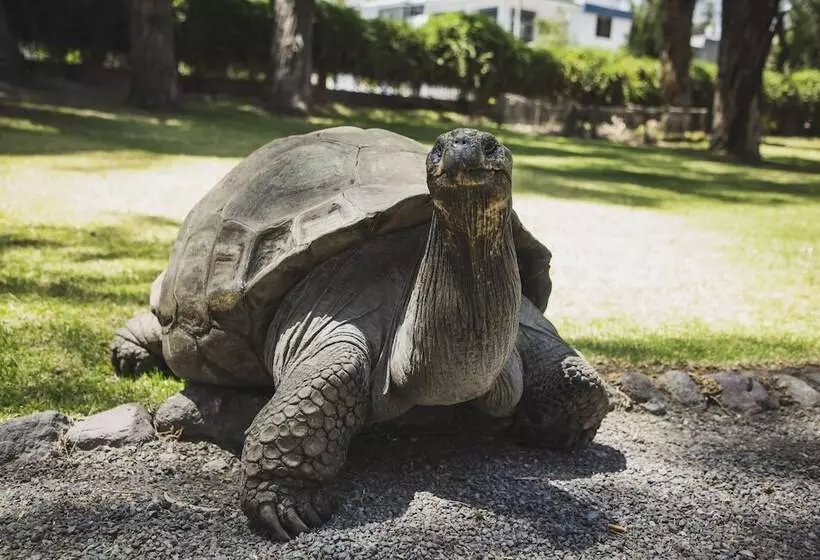 Fotos del hotel Wyndham Costa Del Sol Arequipa:  10
