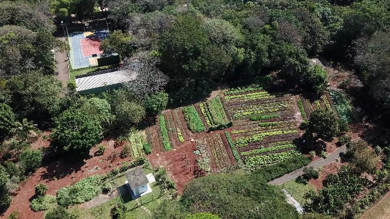 Fotos del hotel Bourbon Cataratas Do Iguaçu Resort:  14