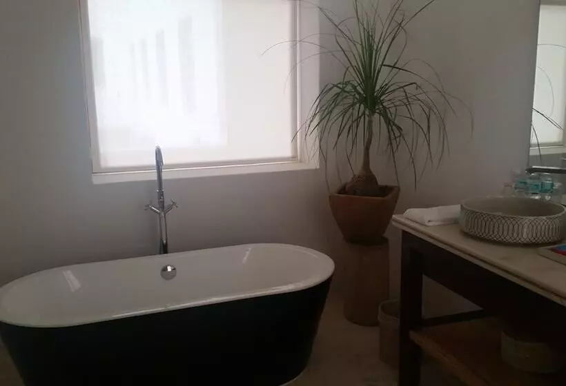 Fotos del hotel Hotel Boutique Casareyna:  25