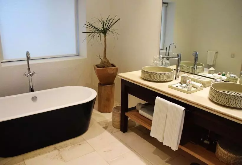 Fotos del hotel Hotel Boutique Casareyna:  15