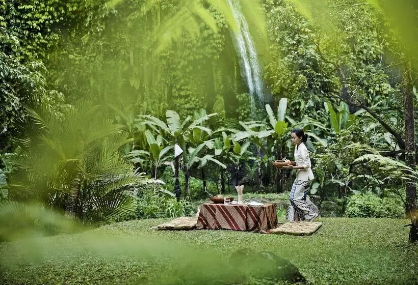 Fotos del hotel Como Shambhala Estate:  7