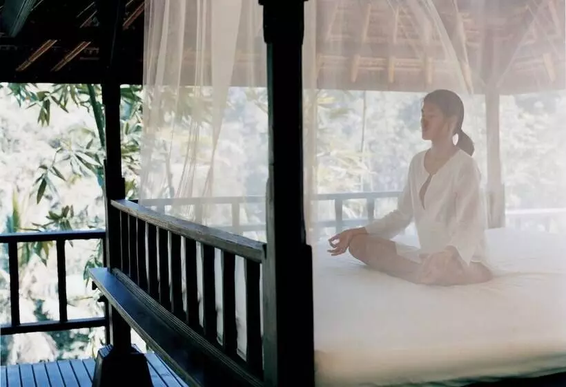 Fotos del hotel Como Shambhala Estate:  15