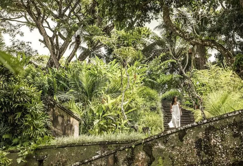 Fotos del hotel Como Shambhala Estate:  14