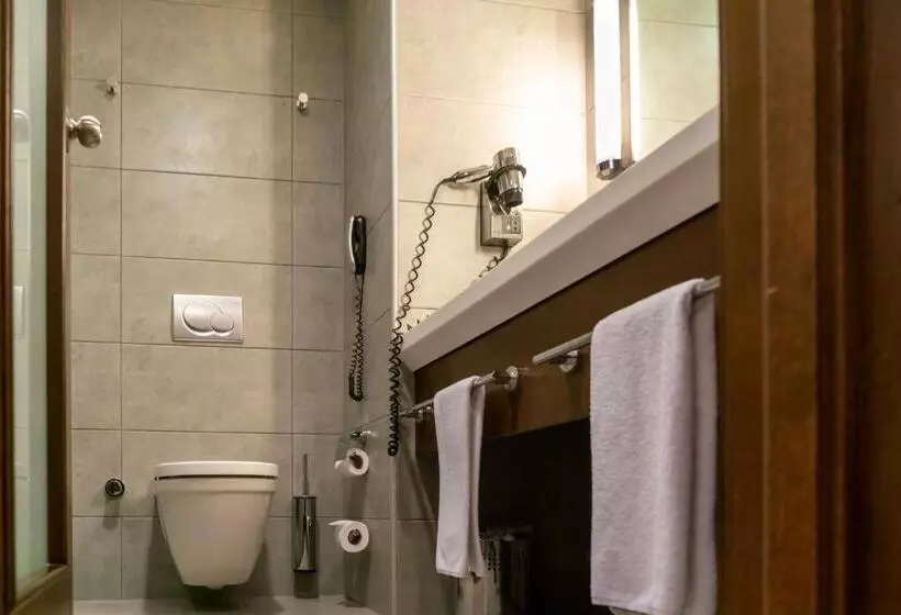 Fotos del hotel Midtown:  6