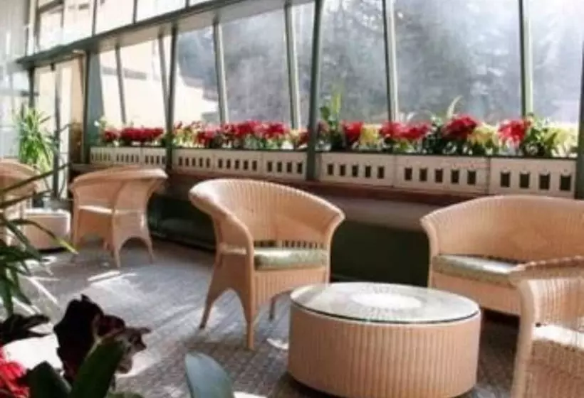 Fotos del hotel Miramonti Majestic Grand:  8