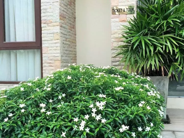 Fotos del hotel Montien House Chaweng Beach Resort:  8