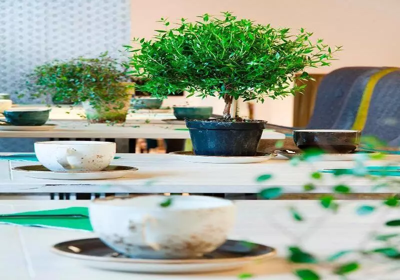 Fotos del hotel Absalon:  6