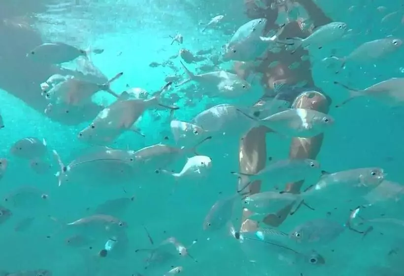 Fotos del hotel El Trebol:  1