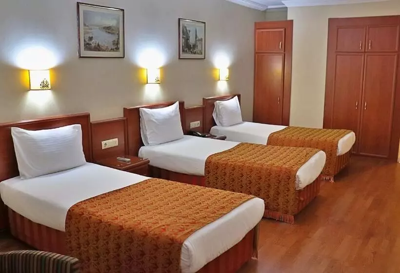 Fotos del hotel Grand Hotel Halic:  2