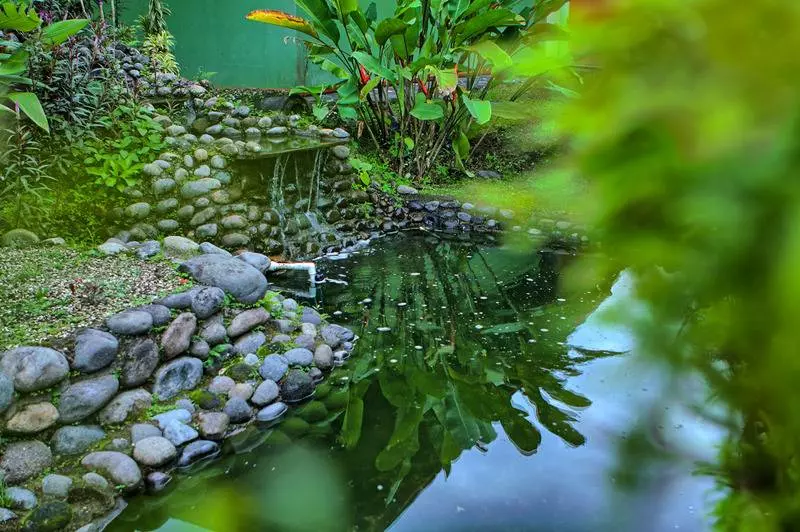 Fotos del hotel Mountain Paradise :  7