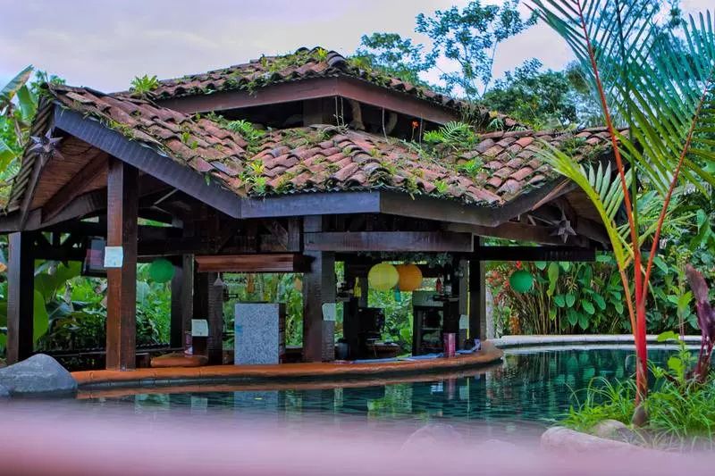 Fotos del hotel Mountain Paradise :  19