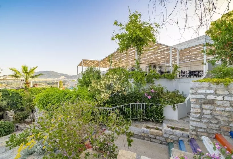 Fotos del hotel Riva Bodrum Resort  All Inclusive  Adult Only:  5