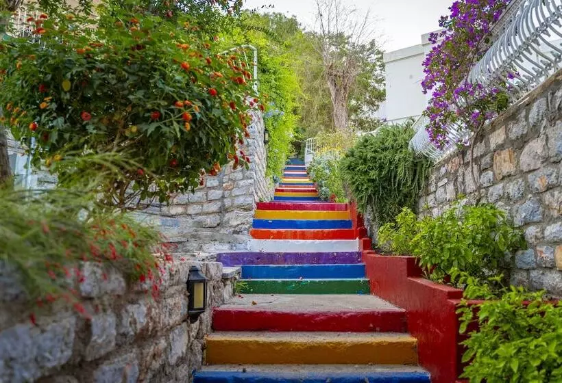 Fotos del hotel Riva Bodrum Resort  All Inclusive  Adult Only:  7