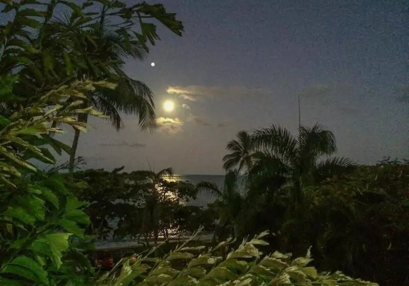 Fotos del hotel Roydon Beachfront Apartments:  16