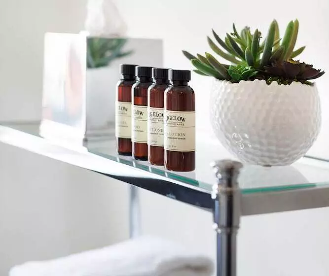 Fotos del hotel The High Line:  11