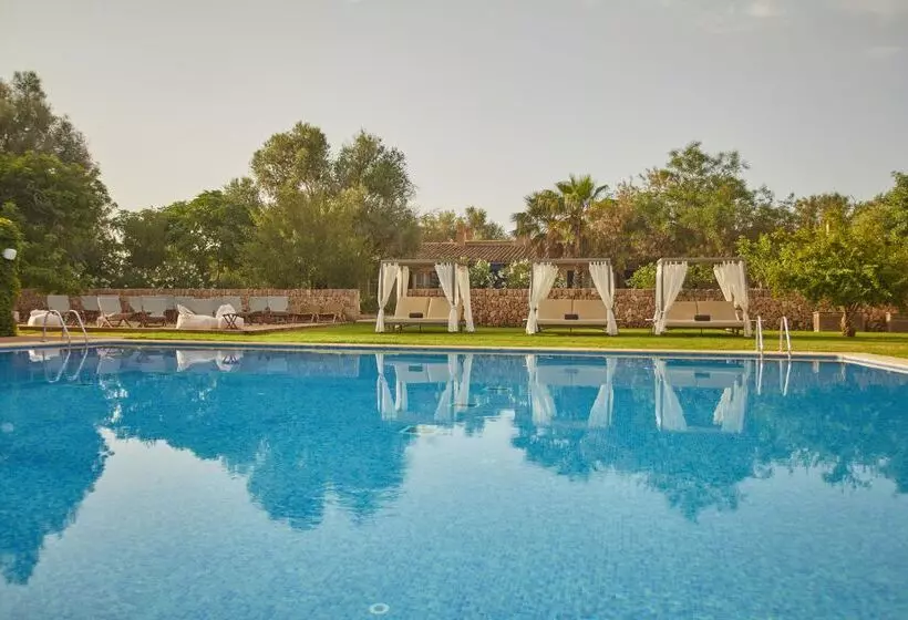 Fotos del hotel Zoetry Mallorca Wellness & Spa:  7