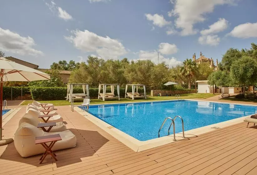 Zoetry Mallorca Wellness & Spa