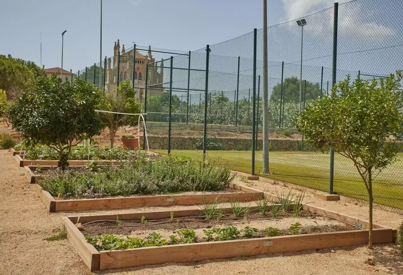 Fotos del hotel Zoetry Mallorca Wellness & Spa:  17