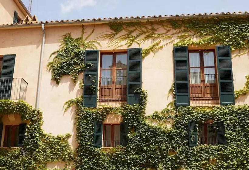 Fotos del hotel Zoetry Mallorca Wellness & Spa:  6