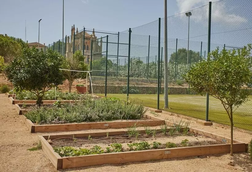 Fotos del hotel Zoetry Mallorca Wellness & Spa:  13