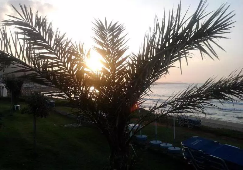 Fotos del hotel Ariadne Beach Hotel:  9