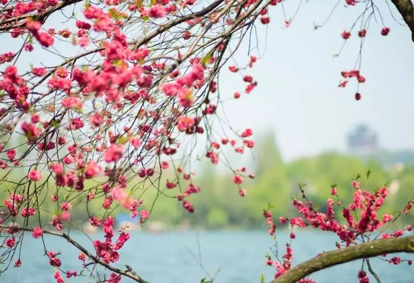 Fotos del hotel Zhejiang Xizi Hotel:  10