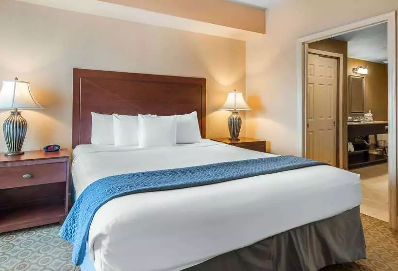 Fotos del hotel The Fountains:  17