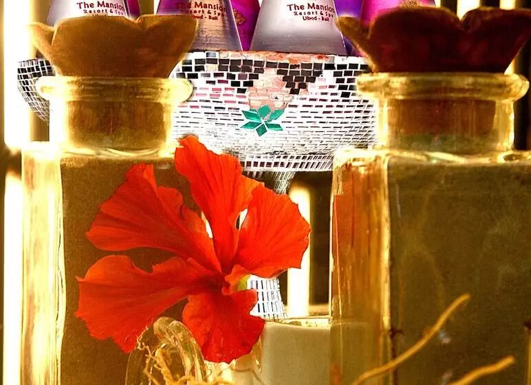 Fotos del hotel The Mansion Resort Hotel & Spa:  8