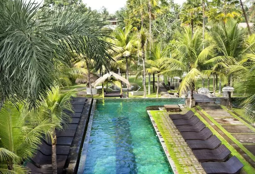 Fotos del hotel The Mansion Resort Hotel & Spa:  2