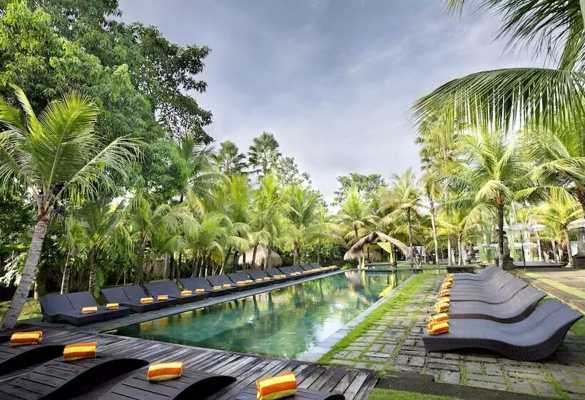 Fotos del hotel The Mansion Resort Hotel & Spa:  22